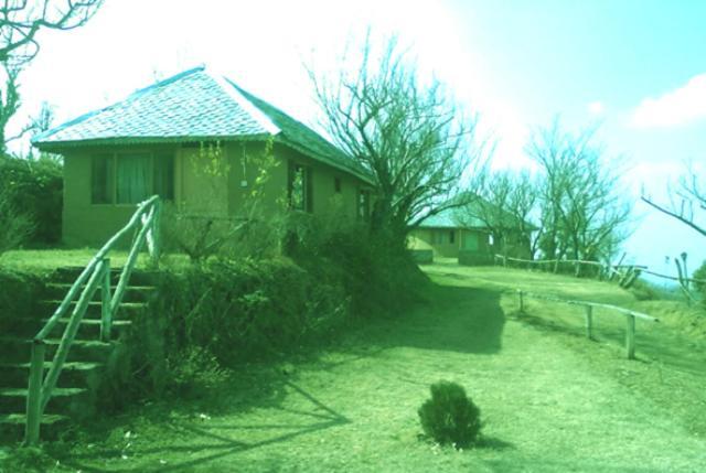 Oyo 43476 Vatika Resort Shimla Eksteriør bilde