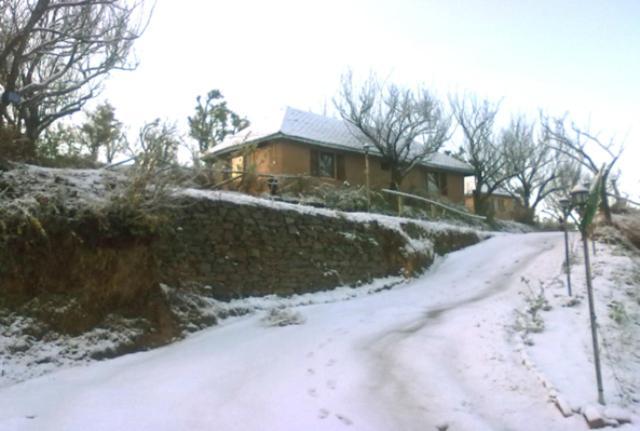 Oyo 43476 Vatika Resort Shimla Eksteriør bilde