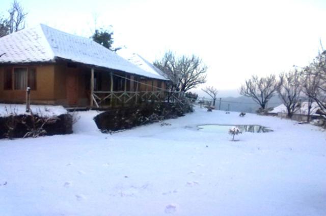 Oyo 43476 Vatika Resort Shimla Eksteriør bilde